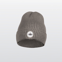 Genuine Toyota LC300 Light Grey Beanie image